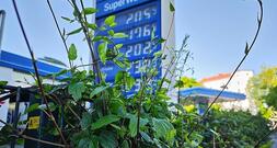 Sozialverband fordert Spritpreisdeckel
