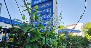 Sozialverband fordert Spritpreisdeckel