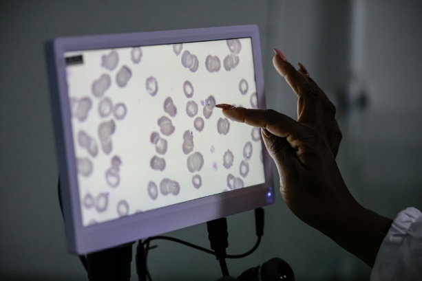 Bild vergr&ouml;&szlig;ern: Globaler Fonds warnt vor Folgen von weniger Hilfsgeldern für Kampf gegen Malaria