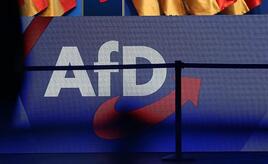 Ökonomen warnen vor AfD-Regierung