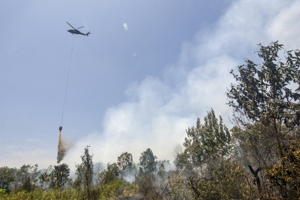Bild vergr&ouml;&szlig;ern: Waldbrände in Indonesien lodern trotz wochenlanger Löscharbeiten weiter