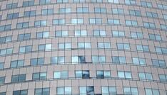 Umfrage: Nur zwölf Prozent der Unternehmen nutzen KI bei Bewerbungen