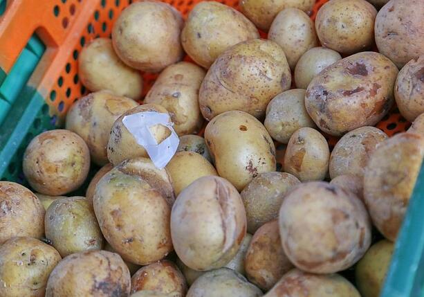 Bild vergr&ouml;&szlig;ern: Kartoffelernte fällt dieses Jahr schwächer aus