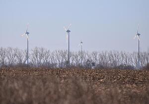 Studie: Gedeckelte Windkraft-Pachten könnten um Milliarden entlasten