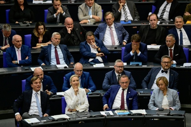 Bild vergr&ouml;&szlig;ern: Widerstand aus Union gegen Forderung von Rhein nach Ausschussposten für AfD
