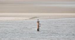 Deutschland will CO2 nach Dänemark und Holland 