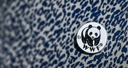 WWF: Wildtierpopulation weltweit seit 1970 um fast drei Viertel geschrumpft