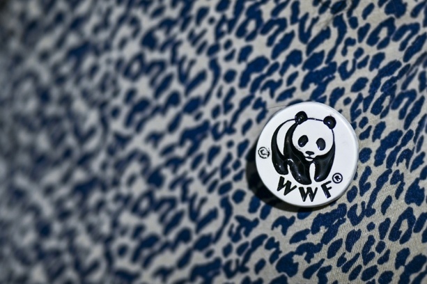 Bild vergr&ouml;&szlig;ern: WWF: Wildtierpopulation weltweit seit 1970 um fast drei Viertel geschrumpft