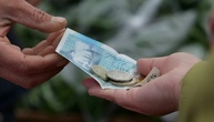 Igel oder Eule statt Churchill: Neue Pfund-Scheine zeigen künftig Tiermotive