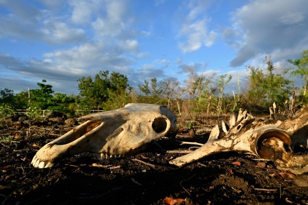 Bild vergr&ouml;&szlig;ern: UNO: Klimaphänomen El Niño verschärft sich weiter - Höhepunkt im Dezember erwartet