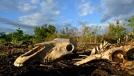 UNO: Klimaphänomen El Niño verschärft sich weiter - Höhepunkt im Dezember erwartet