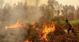 Waldbrände in Indonesien: Mindestens 300 Häuser auf Sumatra zerstört