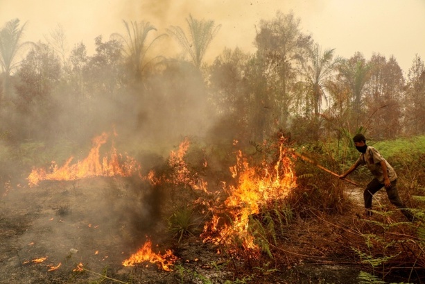 Bild vergr&ouml;&szlig;ern: Mehr als 280.000 Fälle von Atemwegserkrankungen in Waldbrandgebieten in Indonesien