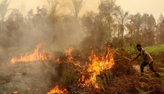 Mehr als 280.000 Fälle von Atemwegserkrankungen in Waldbrandgebieten in Indonesien
