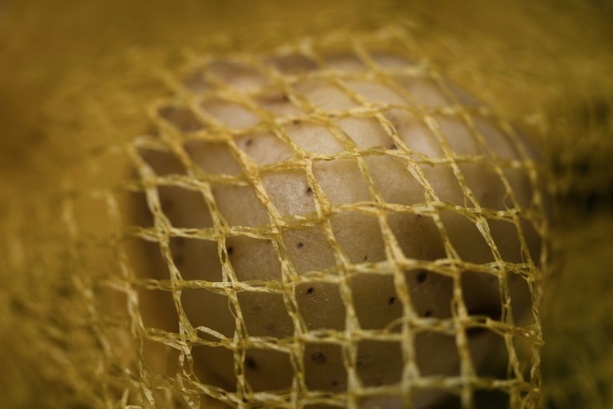 Bild vergr&ouml;&szlig;ern: Voraussichtlich niedrigere Erntemenge: Kartoffeln im September deutlich teurer