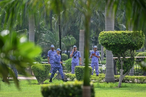Bild vergr&ouml;&szlig;ern: Kakerlaken-Proteste: Indische Behörden schließen zentralen Park in Neu Delhi