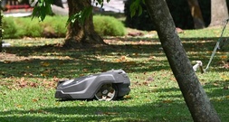 Von Mähnfred bis Saugi: Ein Drittel gibt Haushaltsrobotern Namen