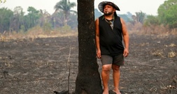 Abholzung in Brasiliens Amazonasgebiet auf niedrigstem Stand seit fast 40 Jahren
