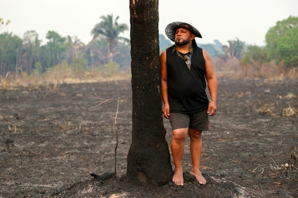 Bild vergr&ouml;&szlig;ern: Abholzung in Brasiliens Amazonasgebiet auf niedrigstem Stand seit fast 40 Jahren