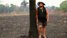 Abholzung in Brasiliens Amazonasgebiet auf niedrigstem Stand seit fast 40 Jahren