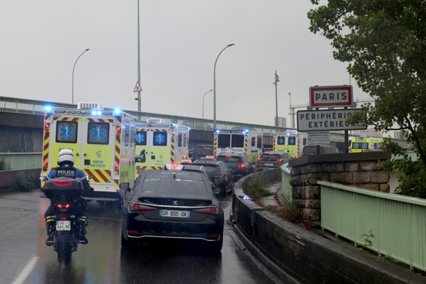 Bild vergr&ouml;&szlig;ern: Shamonda-Virus erstmals bei Menschen entdeckt - Patient stirbt in Frankreich