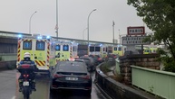 Shamonda-Virus erstmals bei Menschen entdeckt - Patient stirbt in Frankreich