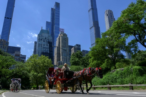 Bild vergr&ouml;&szlig;ern: Kutschfahrten im New Yorker Central Park vor dem Aus