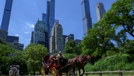 Kutschfahrten im New Yorker Central Park vor dem Aus