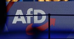 Verfassungsrechtler: AfD-Zuschüsse könnten gestrichen werden